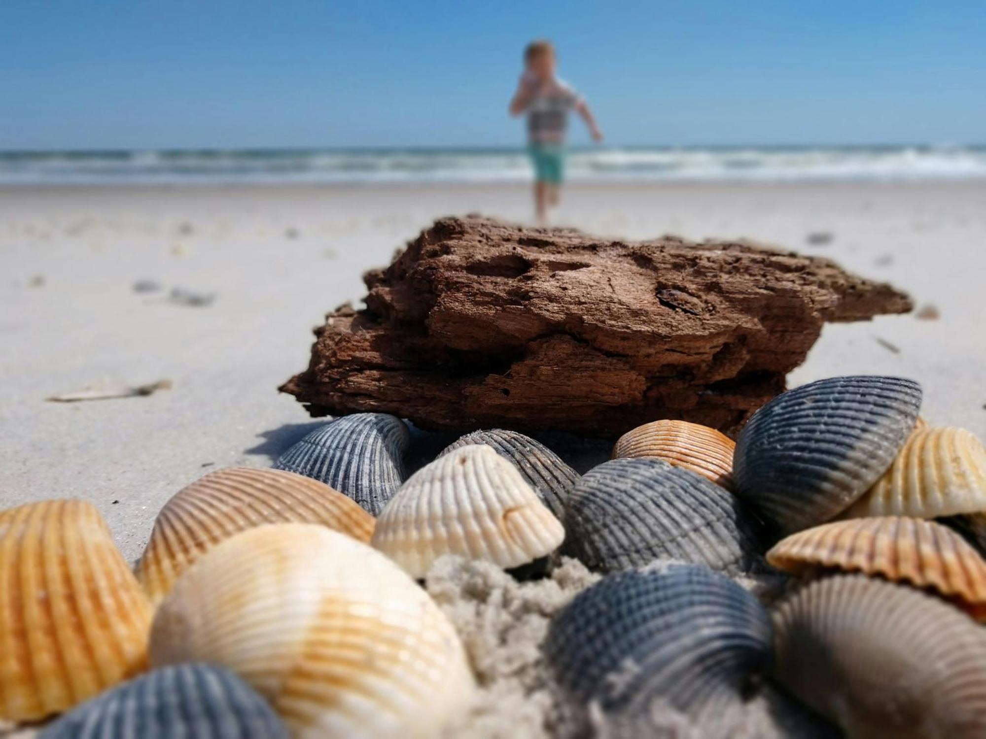 Ocean Sands Beach Inn (Adults Only) St. Augustine Buitenkant foto